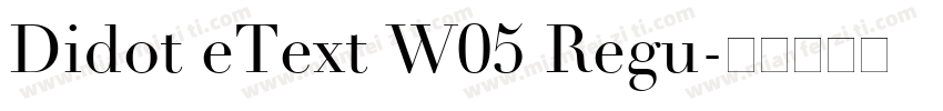Didot eText W05 Regu字体转换